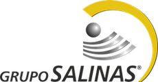 Grupo Salinas